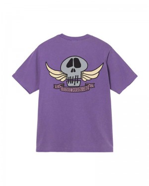 Stussy Skull Wings Pigment Dyed Tricko Nachový | SK-64QMLYZPA